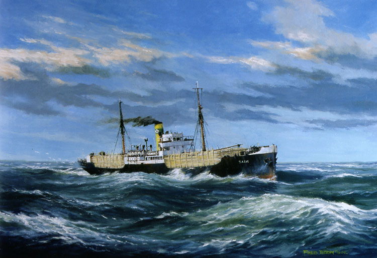 ss Zaan