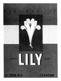 Lily