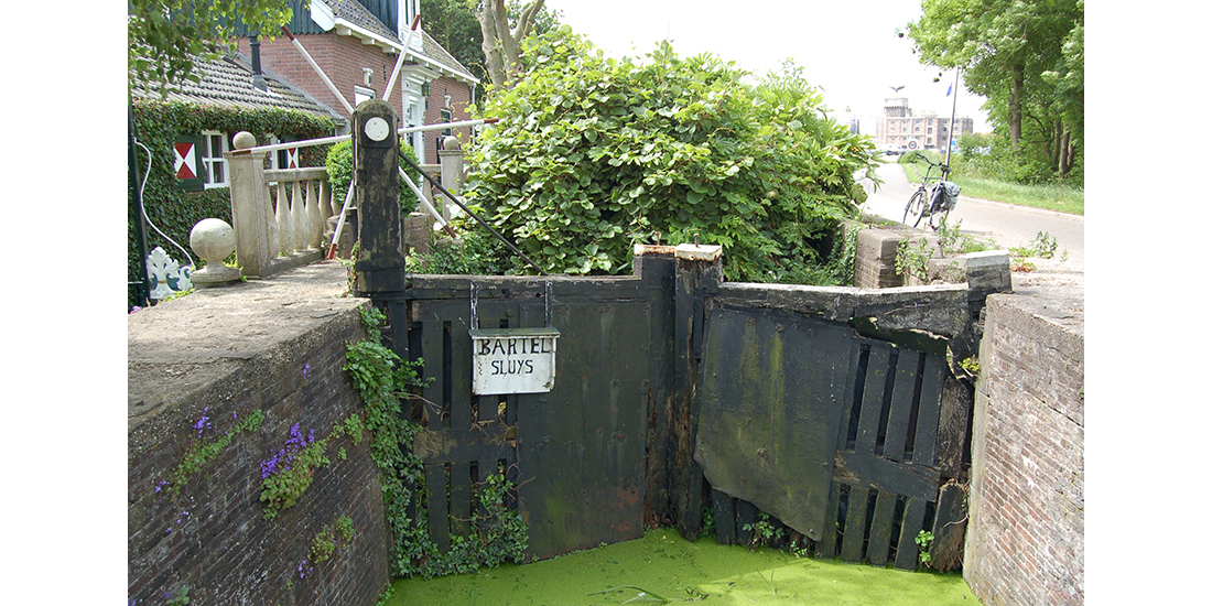 Bartelsluis